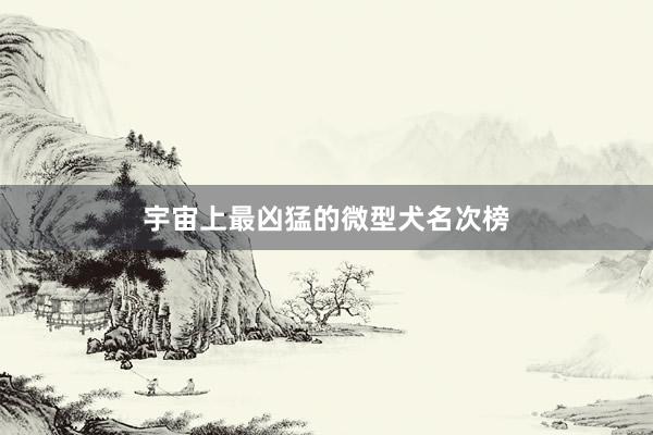宇宙上最凶猛的微型犬名次榜