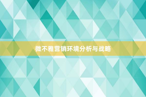 微不雅营销环境分析与战略